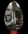 Septarian Dragon Egg Geode - Black Crystals #96731-2